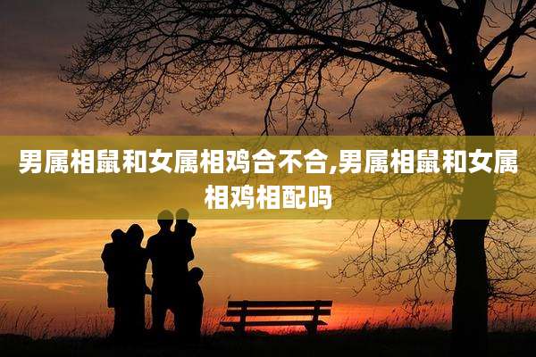 男属相鼠和女属相鸡合不合,男属相鼠和女属相鸡相配吗