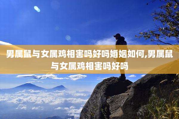 男属鼠与女属鸡相害吗好吗婚姻如何,男属鼠与女属鸡相害吗好吗