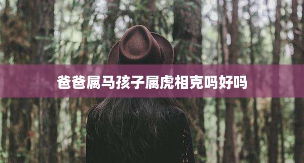 爸爸属马孩子属虎相克吗好吗