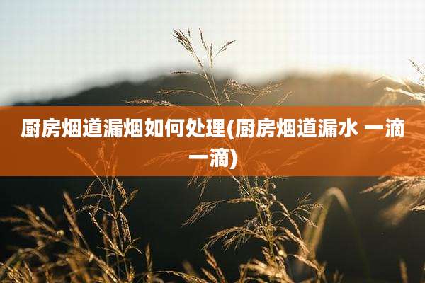 厨房烟道漏烟如何处理(厨房烟道漏水 一滴一滴)