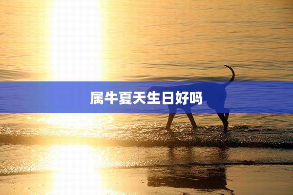 属牛夏天生日好吗