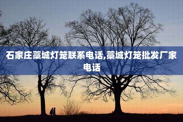 石家庄藁城灯笼联系电话,藁城灯笼批发厂家电话