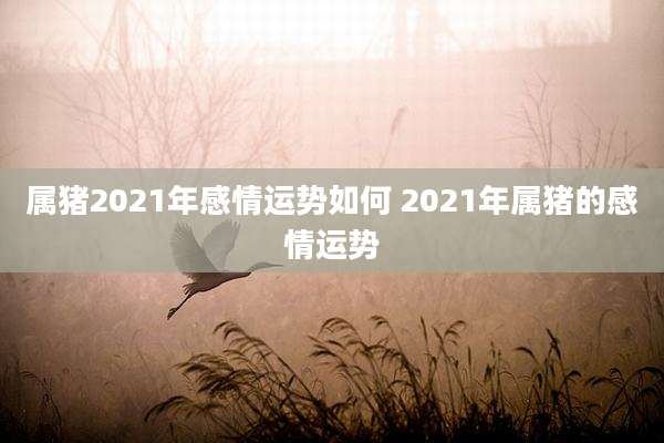 属猪2021年感情运势如何 2021年属猪的感情运势