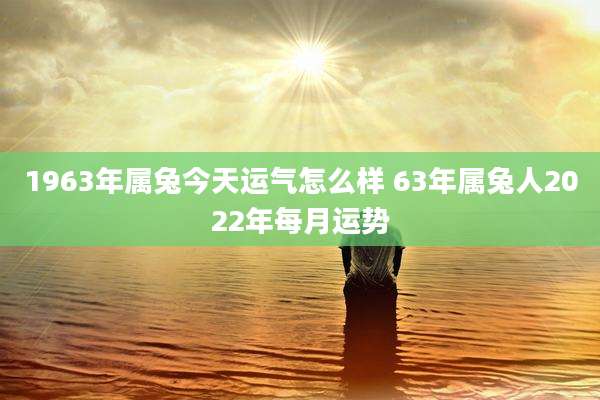 1963年属兔今天运气怎么样 63年属兔人2022年每月运势