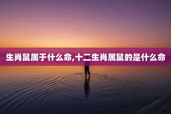 生肖鼠属于什么命,十二生肖属鼠的是什么命