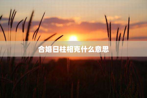 合婚日柱相克什么意思