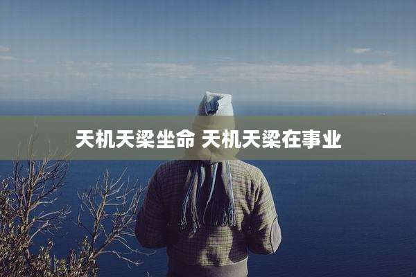 天机天梁坐命 天机天梁在事业