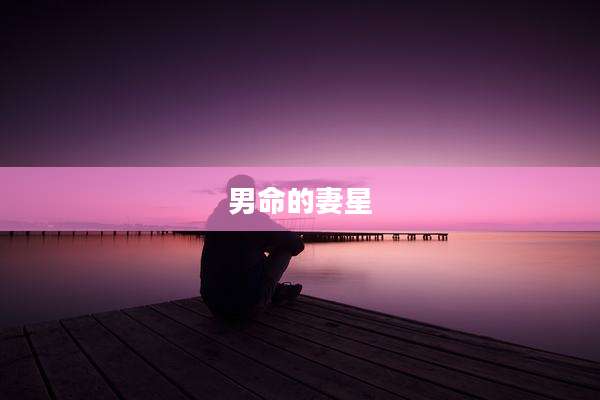 男命的妻星