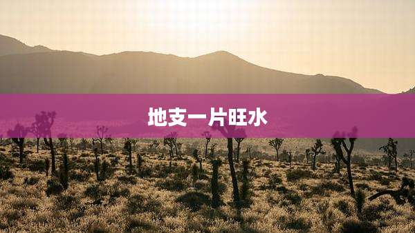 地支一片旺水