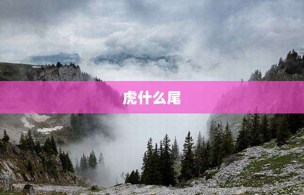 虎什么尾