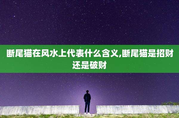 断尾猫在风水上代表什么含义,断尾猫是招财还是破财