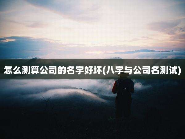 怎么测算公司的名字好坏(八字与公司名测试)