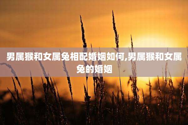 男属猴和女属兔相配婚姻如何,男属猴和女属兔的婚姻