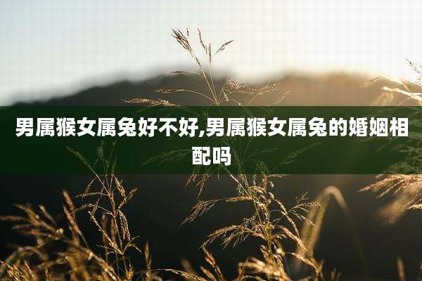男属猴女属兔好不好,男属猴女属兔的婚姻相配吗