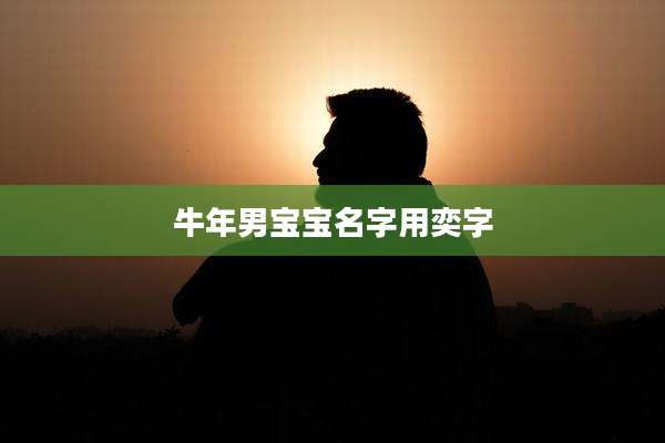 牛年男宝宝名字用奕字