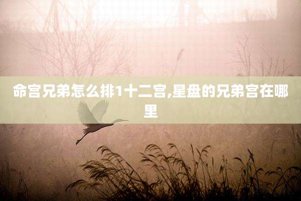 命宫兄弟怎么排1十二宫,星盘的兄弟宫在哪里