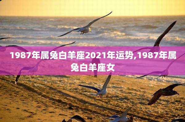 1987年属兔白羊座2021年运势,1987年属兔白羊座女