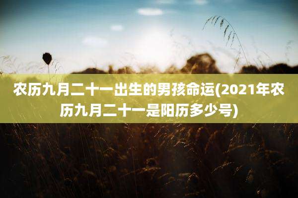 农历九月二十一出生的男孩命运(2021年农历九月二十一是阳历多少号)