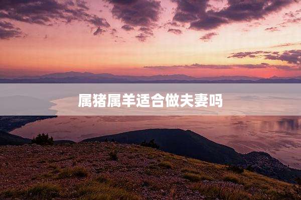 属猪属羊适合做夫妻吗