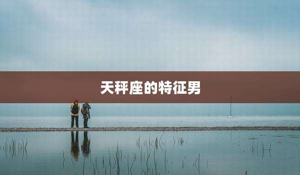 天秤座的特征男