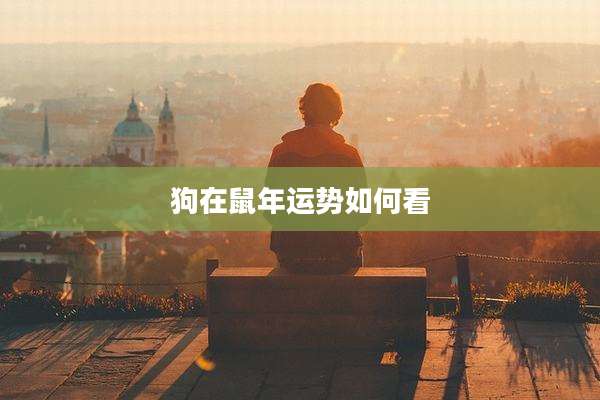 狗在鼠年运势如何看