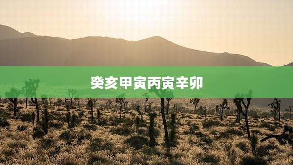 癸亥甲寅丙寅辛卯