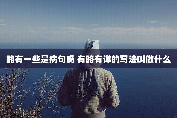 略有一些是病句吗 有略有详的写法叫做什么