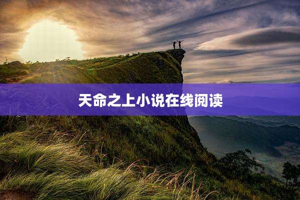 天命之上小说在线阅读