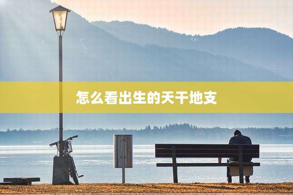 怎么看出生的天干地支