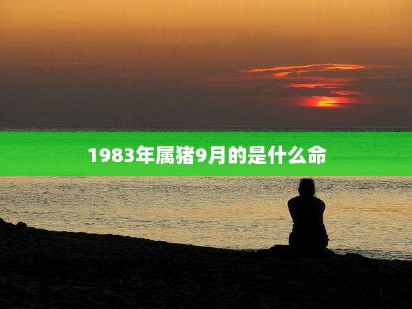 1983年属猪9月的是什么命