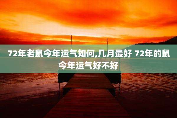 72年老鼠今年运气如何,几月最好 72年的鼠今年运气好不好