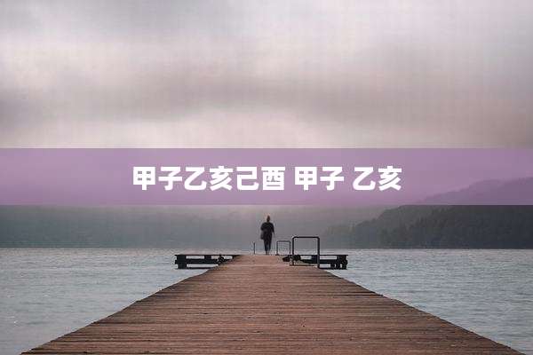 甲子乙亥己酉 甲子 乙亥