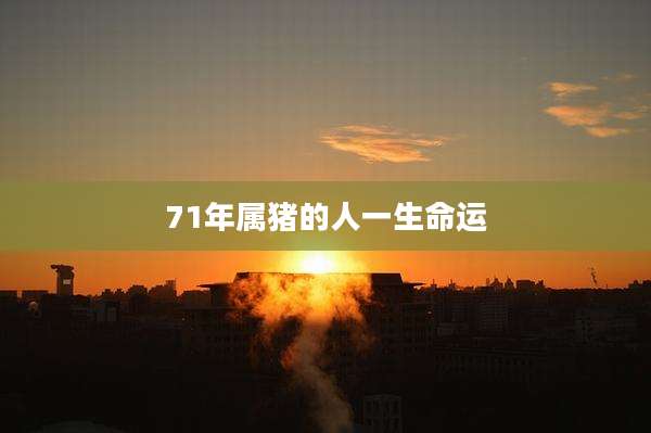 71年属猪的人一生命运