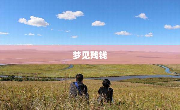 梦见残钱