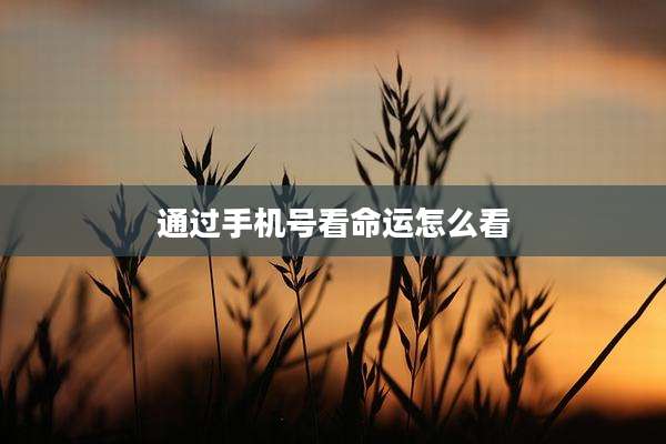 通过手机号看命运怎么看