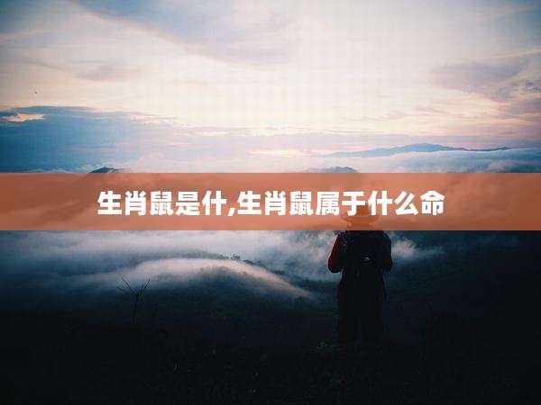 生肖鼠是什,生肖鼠属于什么命