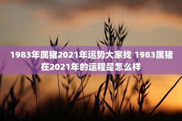 1983年属猪2021年运势大家找 1983属猪在2021年的运程是怎么样