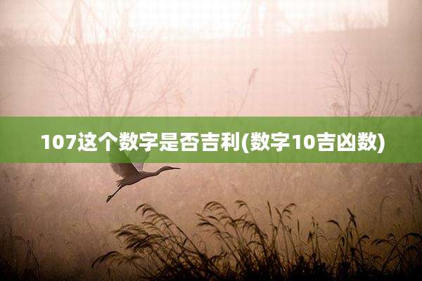 107这个数字是否吉利(数字10吉凶数)