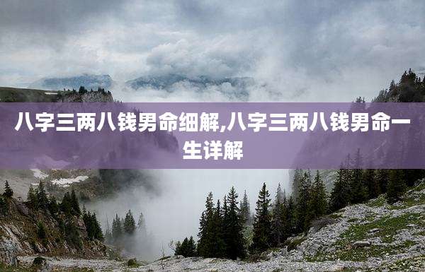 八字三两八钱男命细解,八字三两八钱男命一生详解