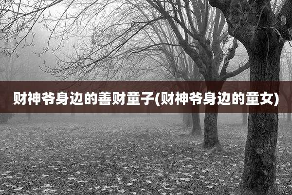 财神爷身边的善财童子(财神爷身边的童女)