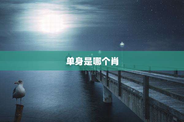 单身是哪个肖