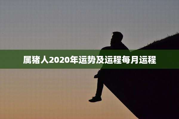属猪人2020年运势及运程每月运程