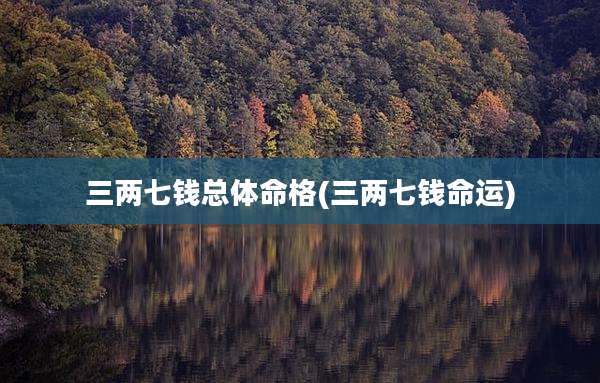 三两七钱总体命格(三两七钱命运)