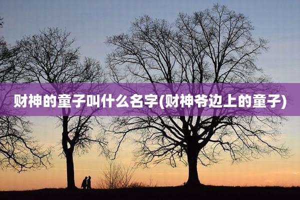 财神的童子叫什么名字(财神爷边上的童子)