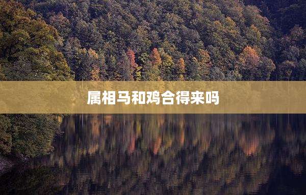 属相马和鸡合得来吗