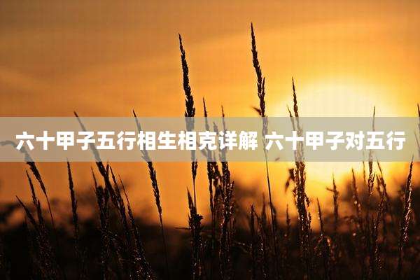 六十甲子五行相生相克详解 六十甲子对五行