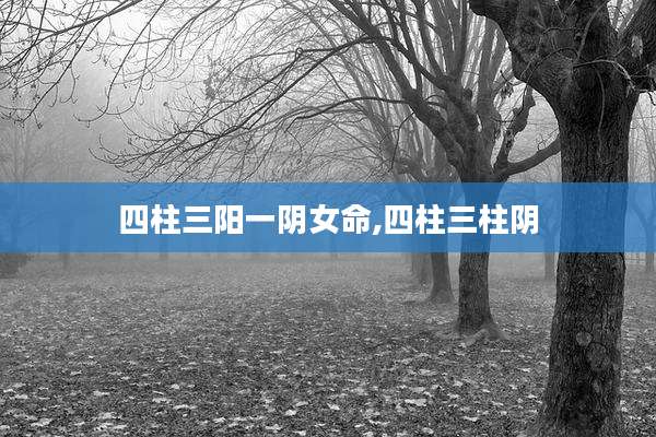 四柱三阳一阴女命,四柱三柱阴