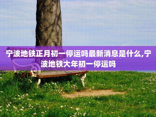 宁波地铁正月初一停运吗最新消息是什么,宁波地铁大年初一停运吗