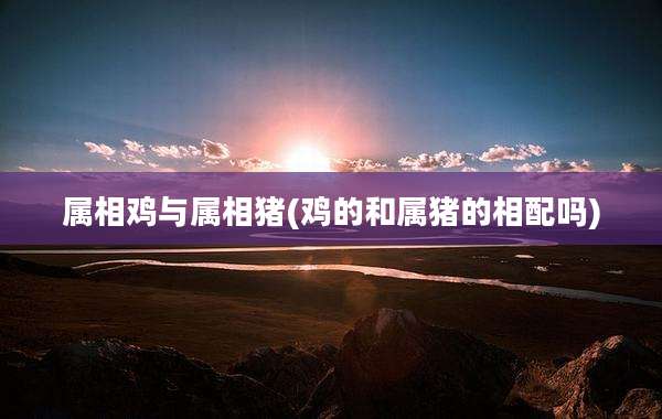 属相鸡与属相猪(鸡的和属猪的相配吗)