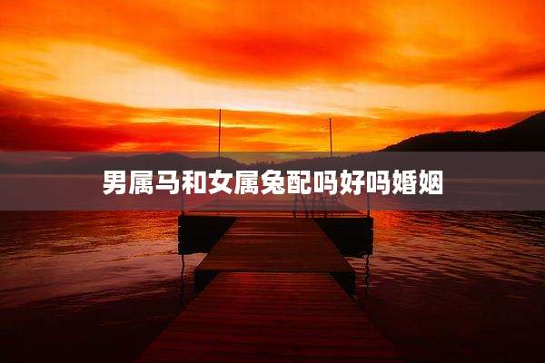 男属马和女属兔配吗好吗婚姻